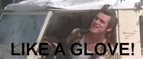 like a glove gif|ace ventura like a glove.